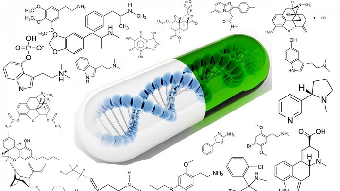 Chemical structures and DNA inside a capsule