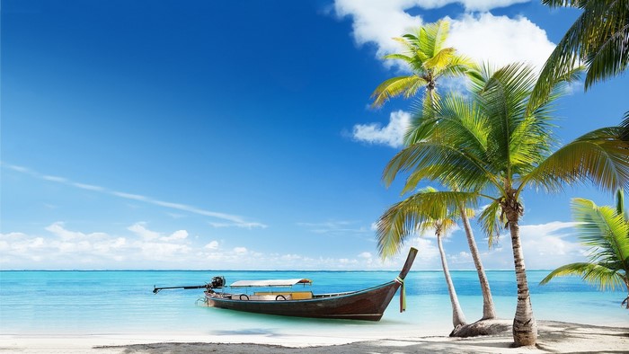 Tropical beach with palm trees and a boat