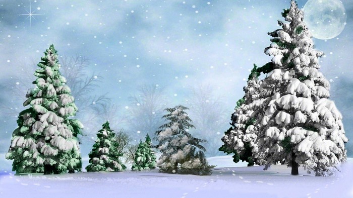 Snow Falling on Winter Trees with Moon