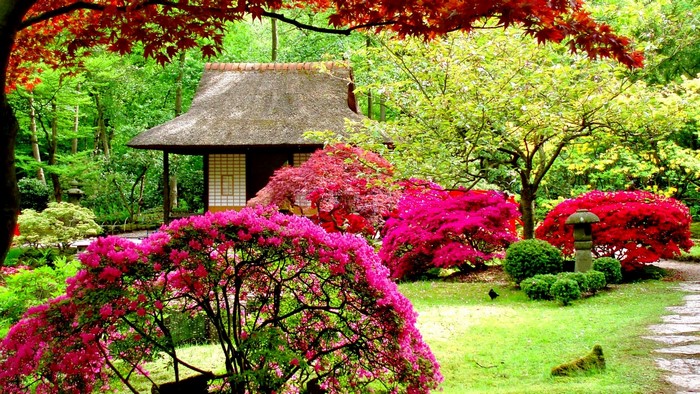 Japanese Garden with Traditional House and Azaleas