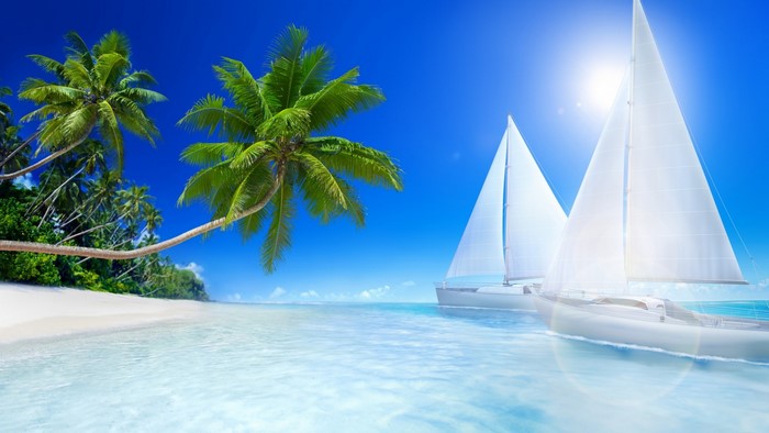 Tropical beach with palm trees and sailboats