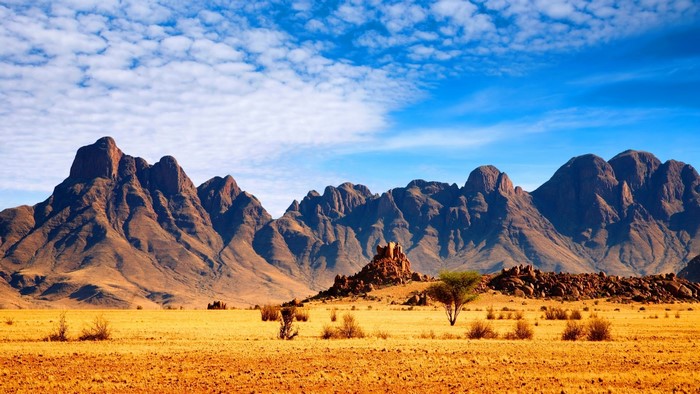 African Savanna with Mountains and Blue Sky