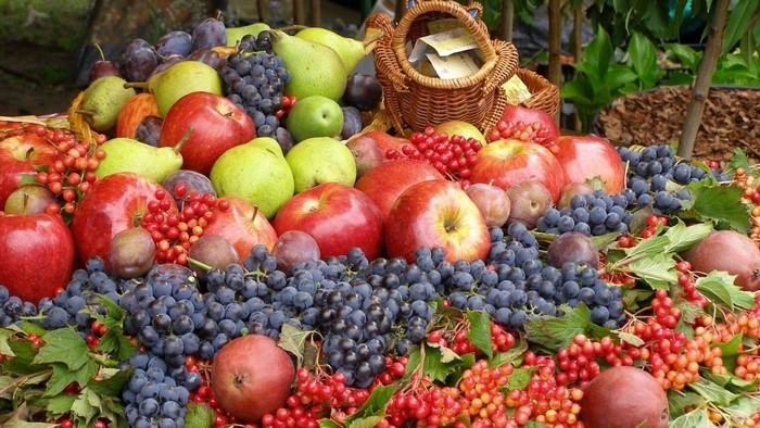 Assortment of Fresh Fruits and Berries