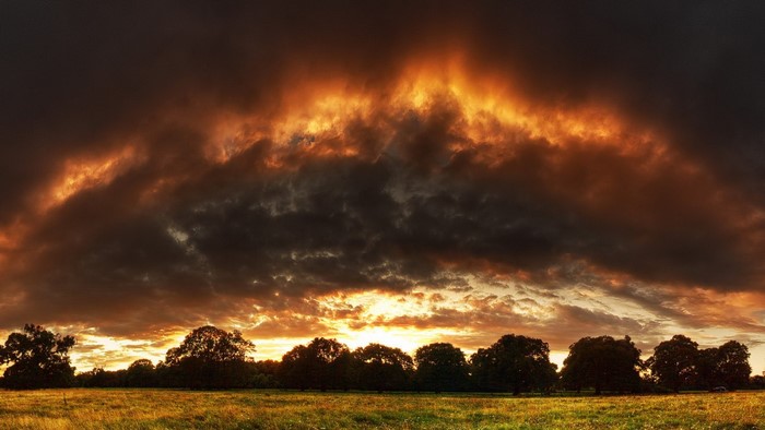 Stormy sunset over a grassy field with trees