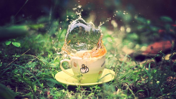 Coffee cup with water splash in forest