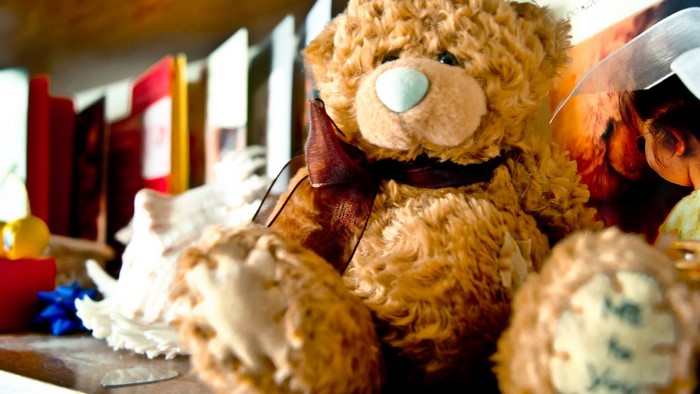 Teddy bear with books and a picture