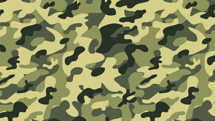 Camouflage Pattern