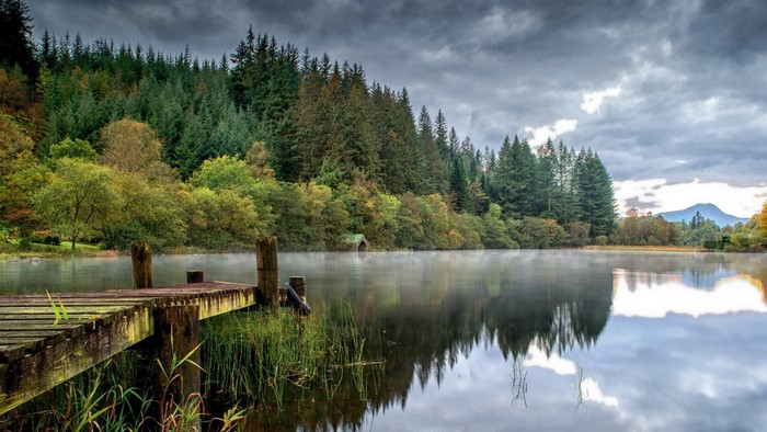 Wooden dock on a misty lake with a forest background