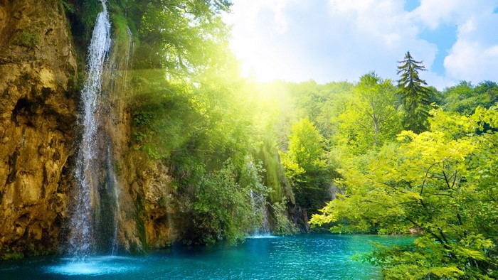 Waterfall in a lush green forest with sunlight