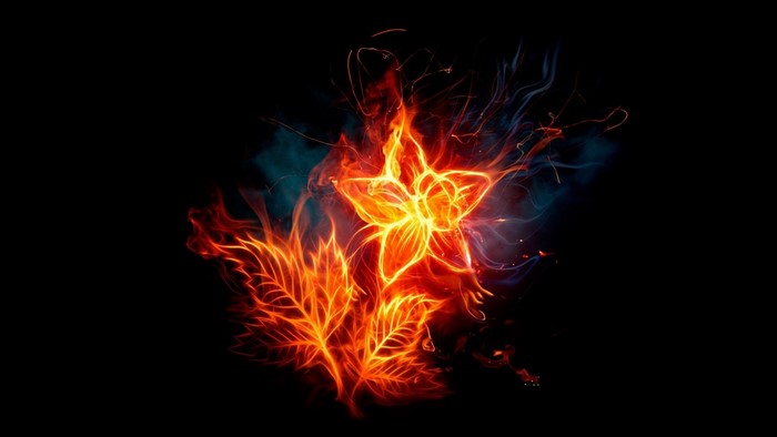 Fire Flower and Leaves on Black Background