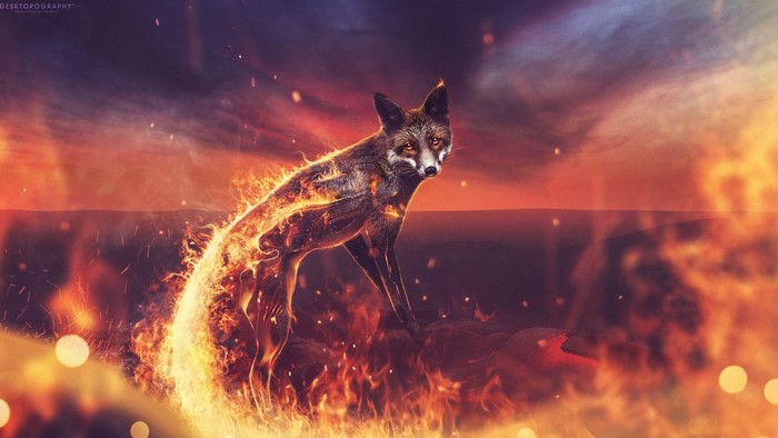 Fiery Fox in a Blazing Landscape