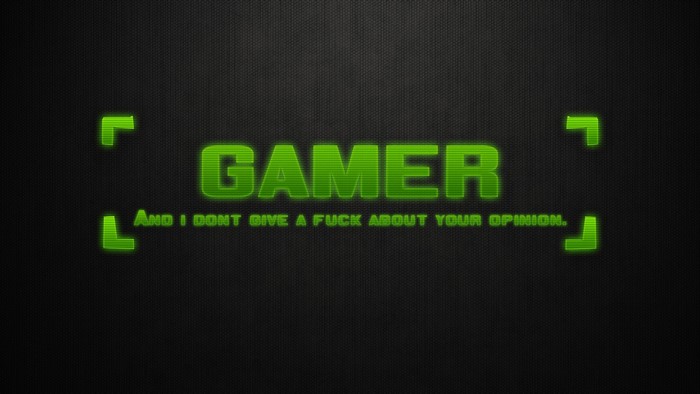 Gamer and I don't give a fuck about your opinion