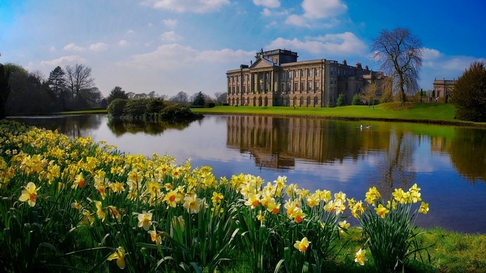 Lyme Park landscape with daffodils and a stately home