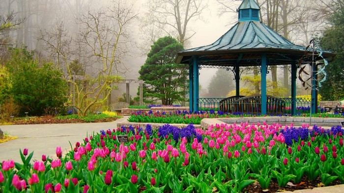 Brookside Gardens Gazebo and Tulip Flower Beds
