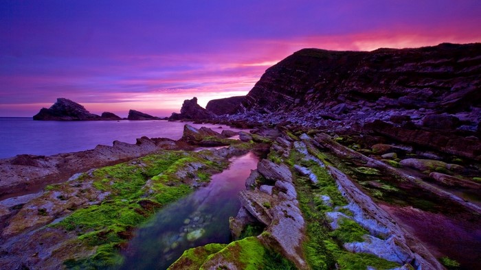 Rocky Coastline at Sunset with Purple Sky