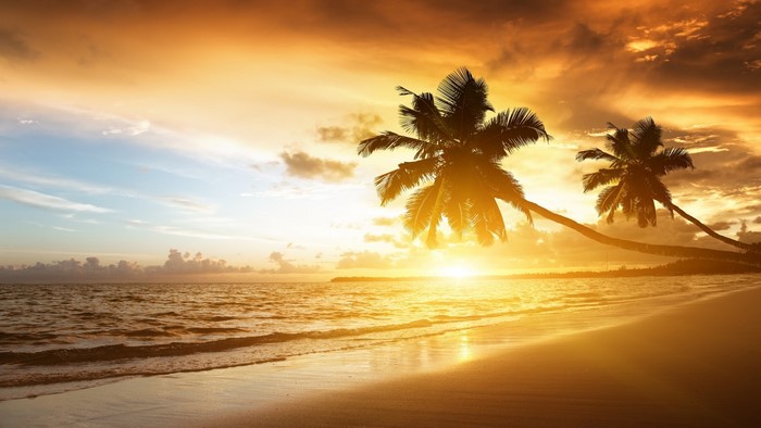 Sunset over a tropical beach with palm trees