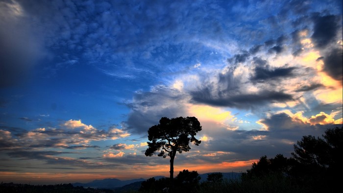 Silhouette of a lone tree against a dramatic sky
