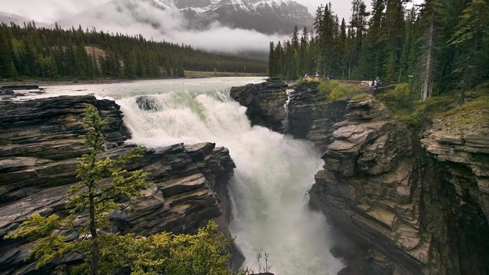 Athabasca Falls in Jasper National Park