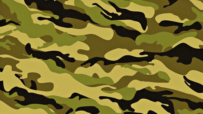 Army Camouflage Pattern