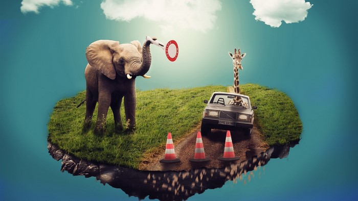 Elephant and Giraffe on a floating island