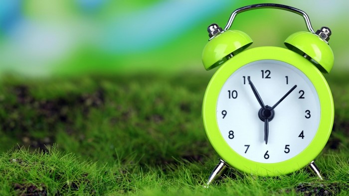 Cute green alarm clock on grass