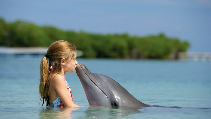 Girl kissing a dolphin in the water