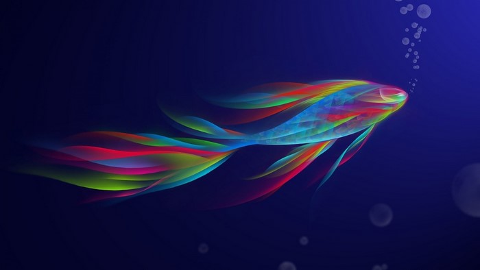Rainbow Fish with Bubbles