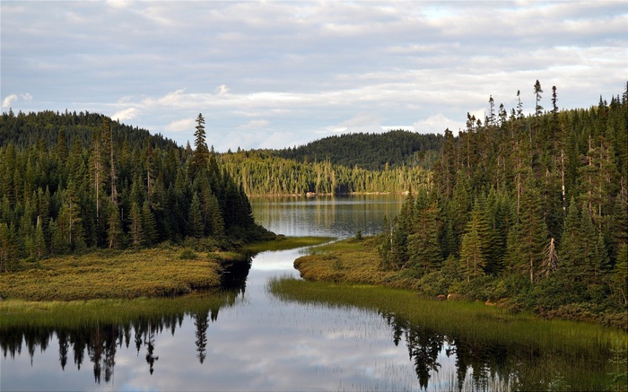 A calm lake surrounded by dense pine forests