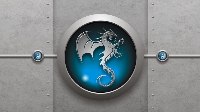 Silver Dragon Emblem on Metallic Background