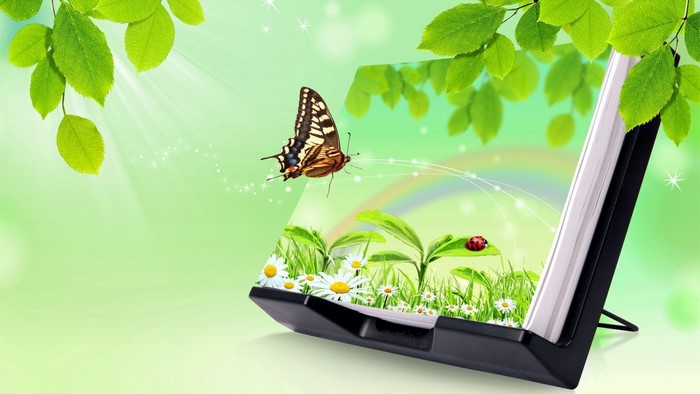 Butterfly and Ladybug in a Digital Landscape