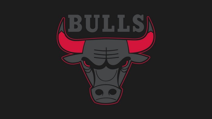 Chicago Bulls logo