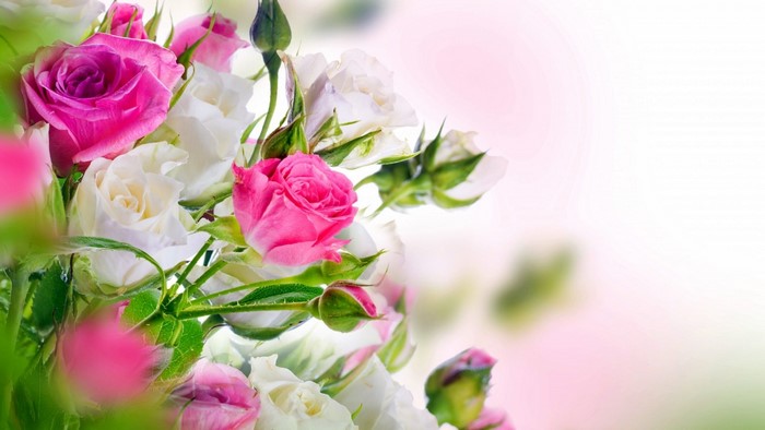 Pink and White Roses Bouquet