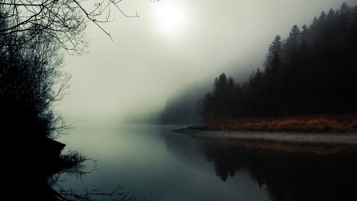 Sun through fog over a misty lake and forest