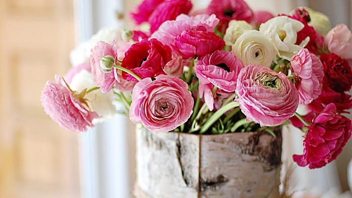 Pink and white ranunculus flowers in a birch vase