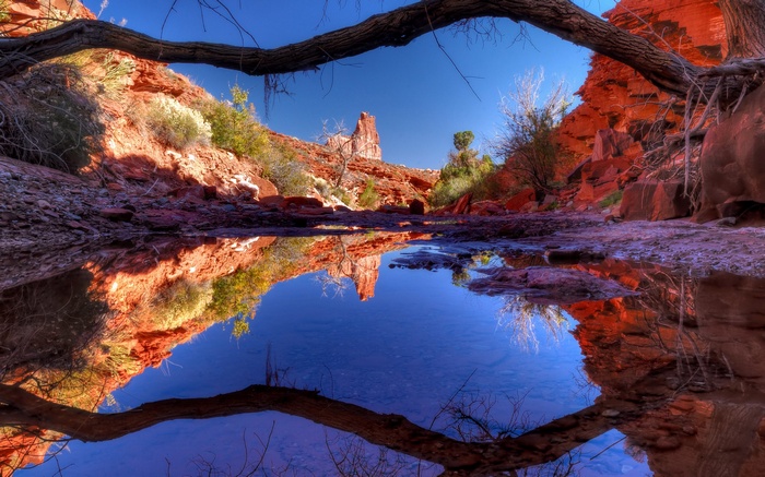 Desert canyon with reflection in water