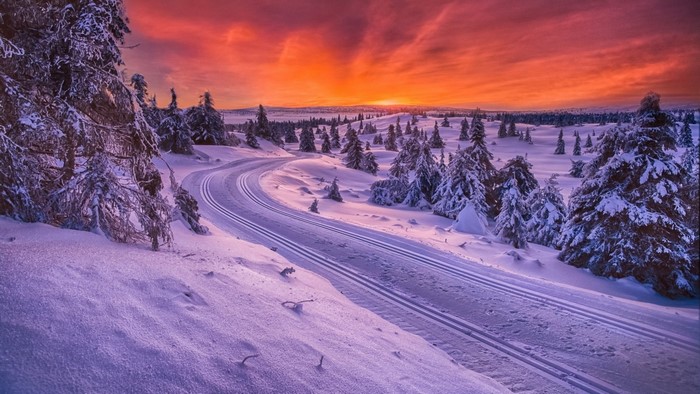 Winter Sunset Over Snowy Landscape in Norway