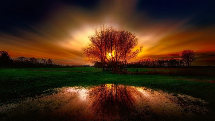 Sunset over a field with a tree and reflection
