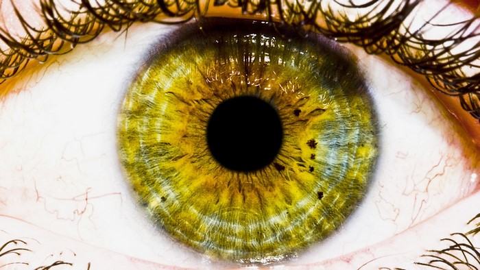 Close-up of a human eye