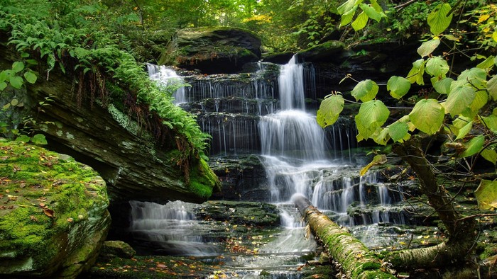 Waterfall cascading over mossy rocks in a forest