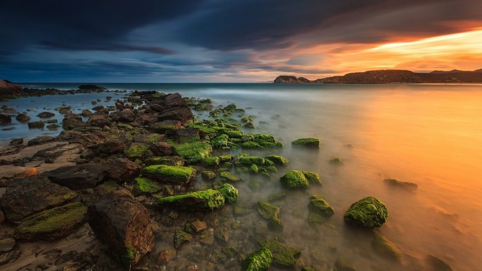 Rocky shore with mossy rocks at sunset