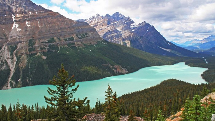 Peyto Lake in Banff National Park
