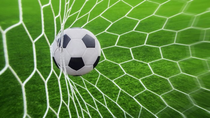 Soccer ball in a goal net