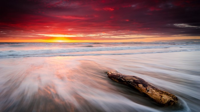 Leithfield Beach Sunrise with Driftwood