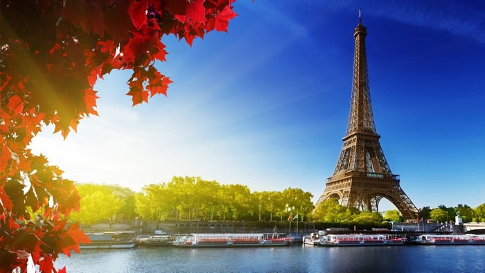 Eiffel Tower, Paris, River Seine, Autumn Leaves
