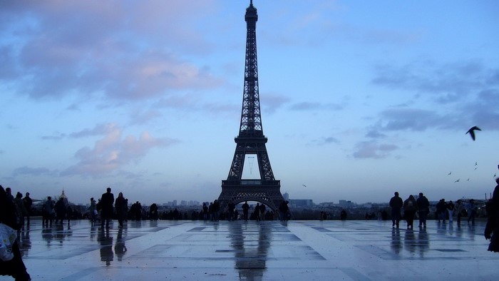 Eiffel Tower at Dusk with People and Birds