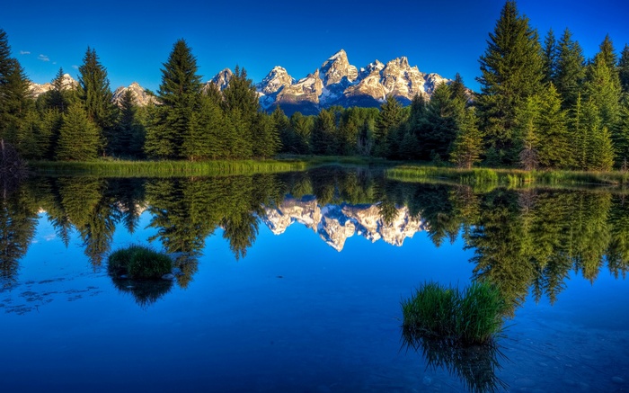 Reflection of Mountains and Trees in a Lake