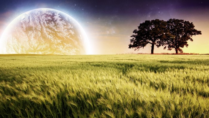 Planet over a field with trees