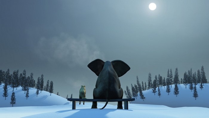 Elephant and dog sitting on a bench in the snow