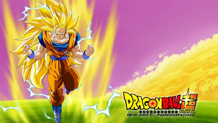 Goku Super Saiyan 3 from Dragon Ball Super