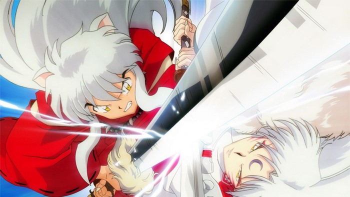 Inuyasha and Sesshomaru fighting